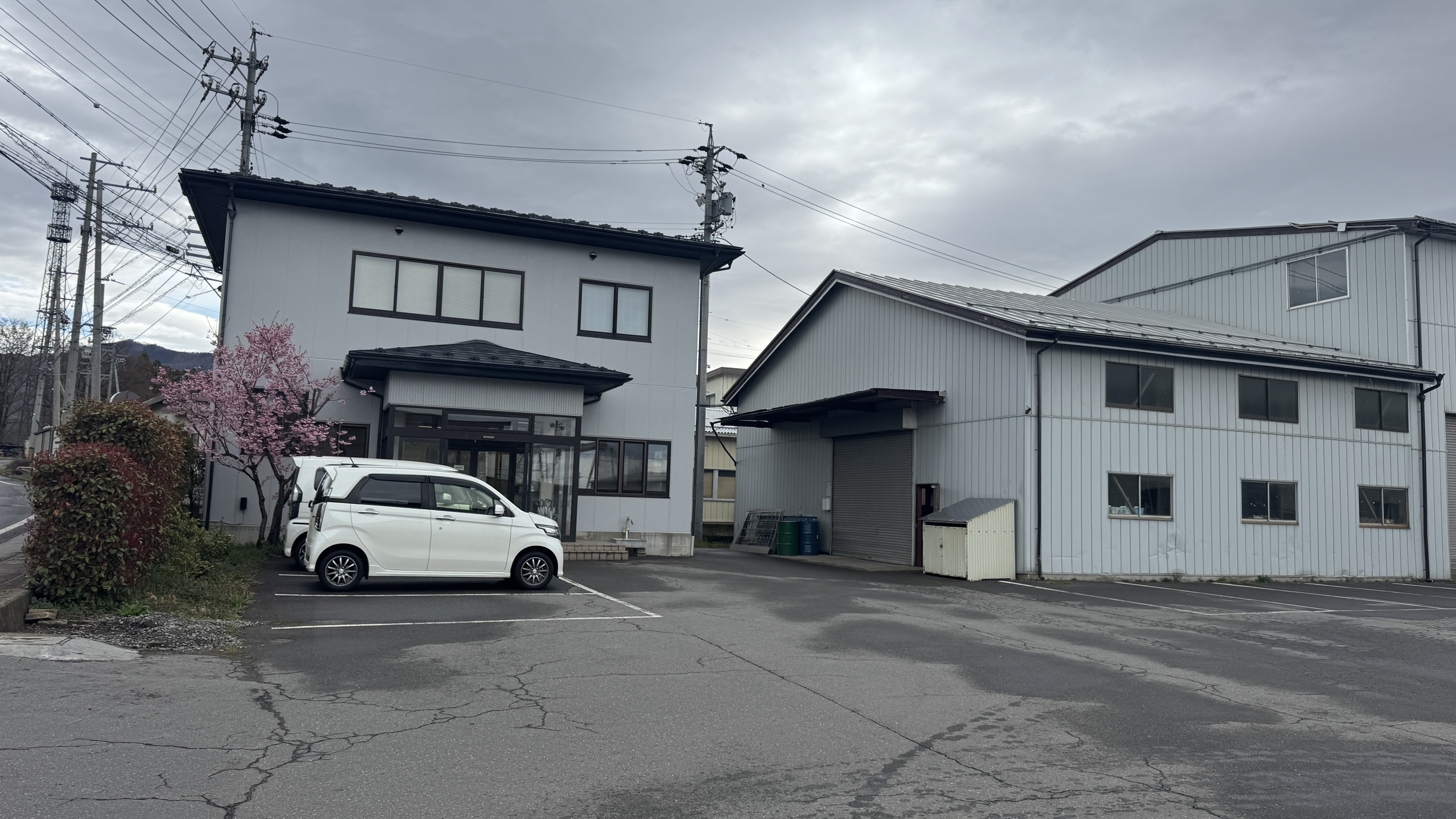 Tee Shirts of Mushrooms thumbnail 2